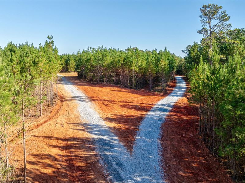 Bob Smith Road Tract : Stephens : Oglethorpe County : Georgia