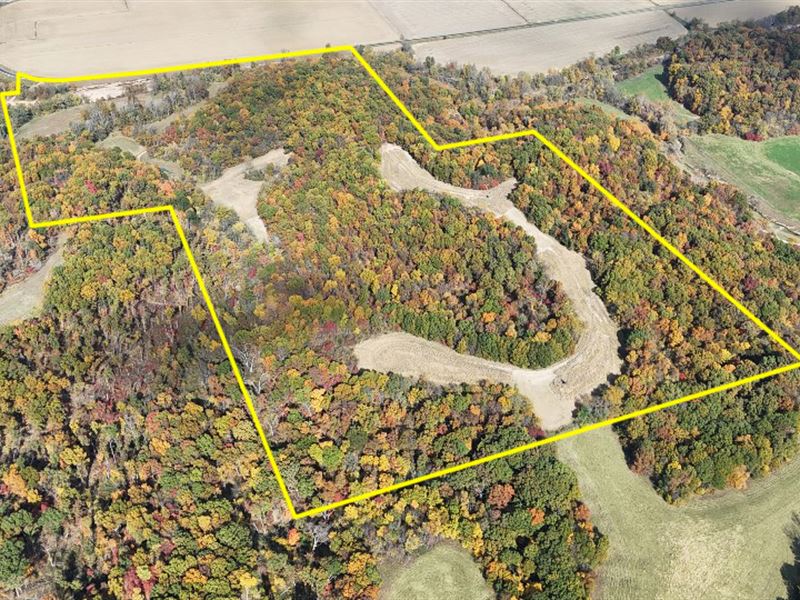 95.6 Ac, Spring Creek Twp : Nebo : Pike County : Illinois