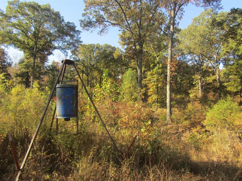 Panoramic Recreational Hunting Land : Boswell : Atoka County : Oklahoma