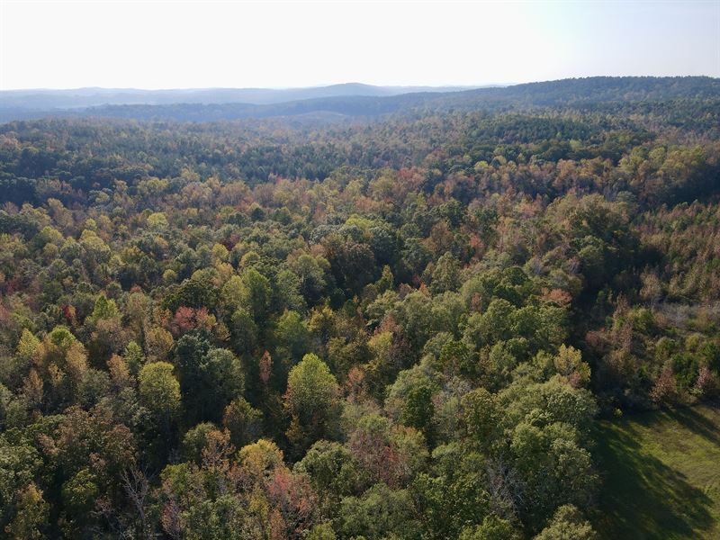 12.5 Acres Ashland, AL : Ashland : Clay County : Alabama