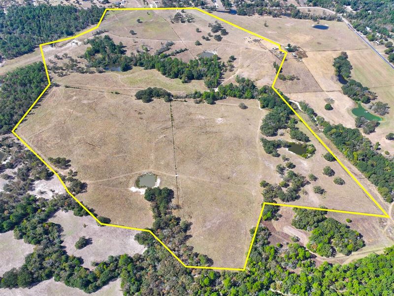 143 Acres Wood Farm Road : Riverside : Walker County : Texas