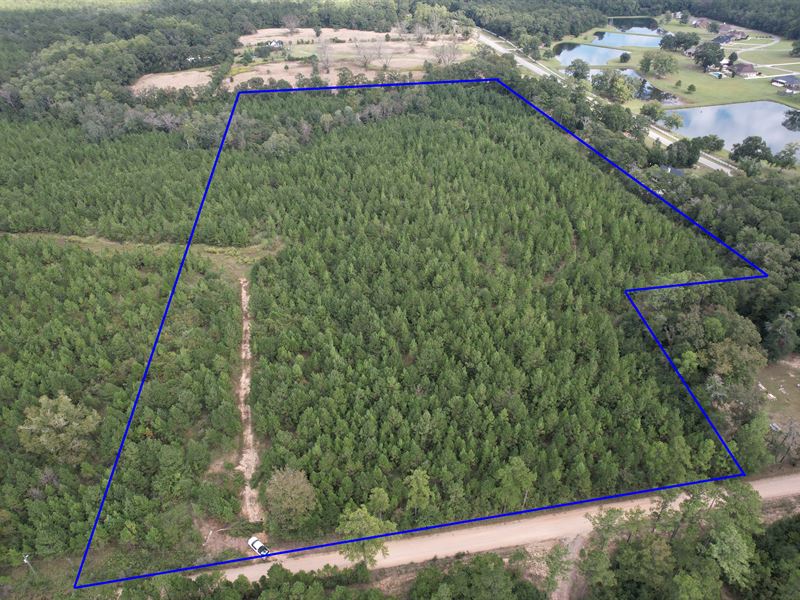 Howard Morris Rd 19 Acres : Wilmer : Mobile County : Alabama