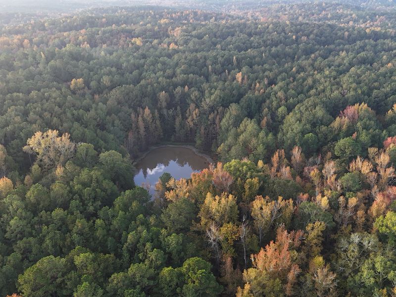 Boulders Rock Retreat : Talbotton : Talbot County : Georgia