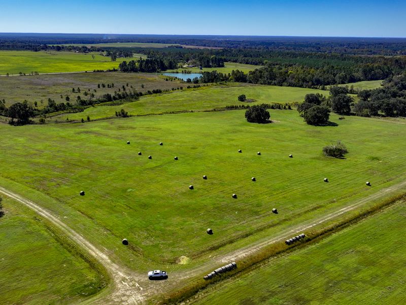 East Dublin Pasture : East Dublin : Laurens County : Georgia