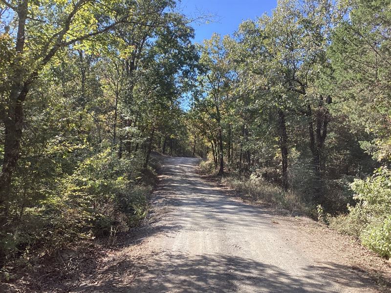 62 Acres in Polk County, AR : Wickes : Polk County : Arkansas