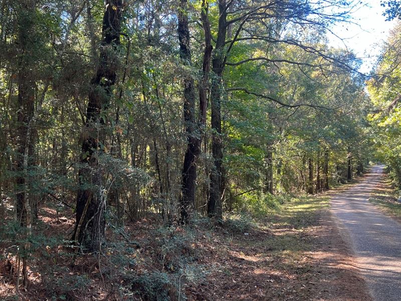 18.5 Acres Amite County, MS : Smithdale : Amite County : Mississippi