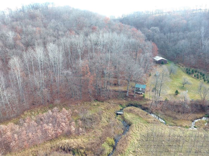 Hall Bottom Cabin : Blue River : Richland County : Wisconsin