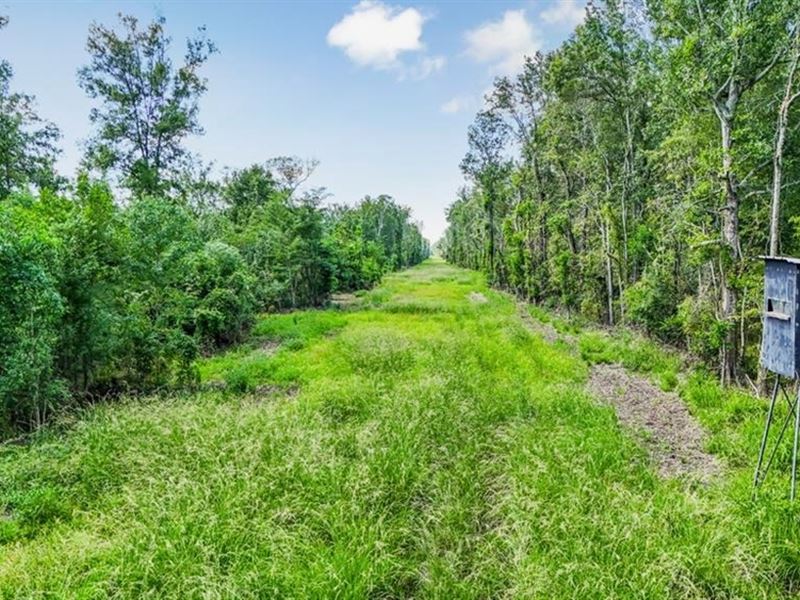 196 Acre Sportsman's Paradise Point : Erwinville : Pointe Coupee Parish : Louisiana