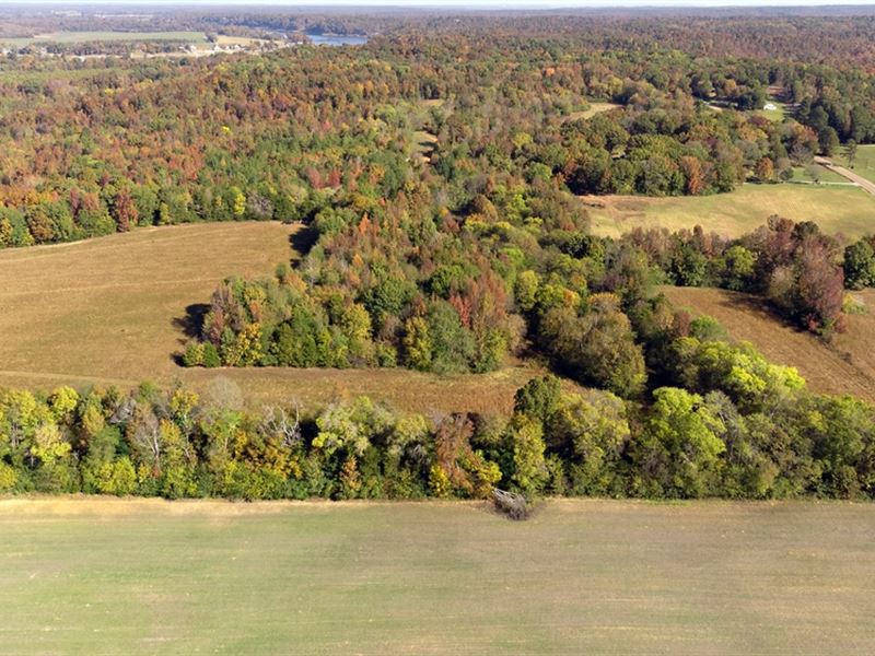 85 Acres in Hardin County, TN : Savannah : Hardin County : Tennessee