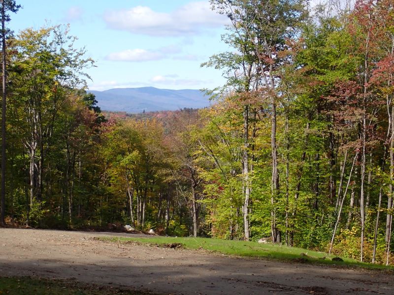 Cotswold Hill Lot 3 : Jamaica : Windham County : Vermont