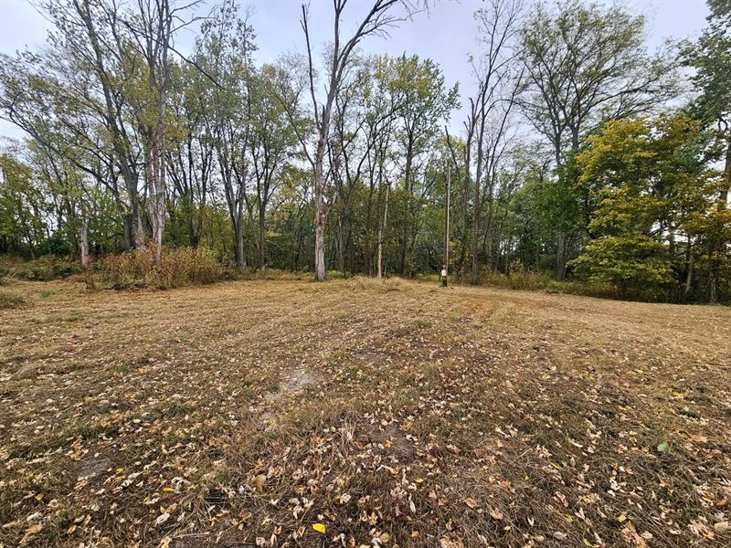 21.44 Acre Building Site with Prime : Watseka : Iroquois County : Illinois