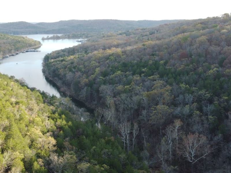 50 Acres of Timberland in Stone Cou : Galena : Stone County : Missouri