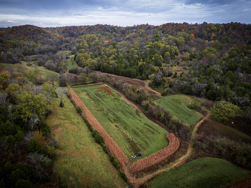 275.6 Acres, Giles County TN : Pulaski : Giles County : Tennessee