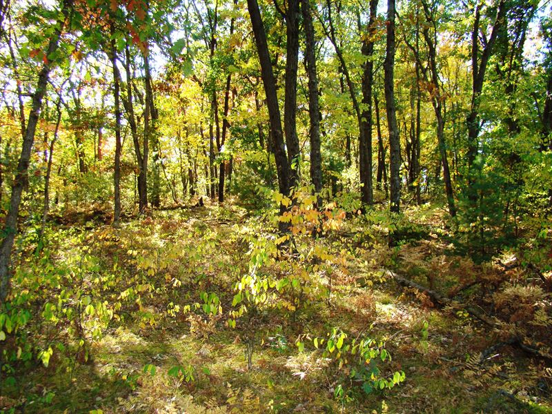 Dunn County 75 Min From Twin Cities : Ridgeland : Dunn County : Wisconsin