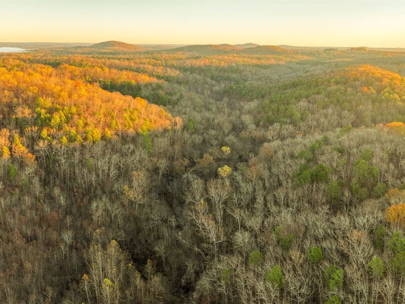 North Fork Mountain : Vanzant : Douglas County : Missouri