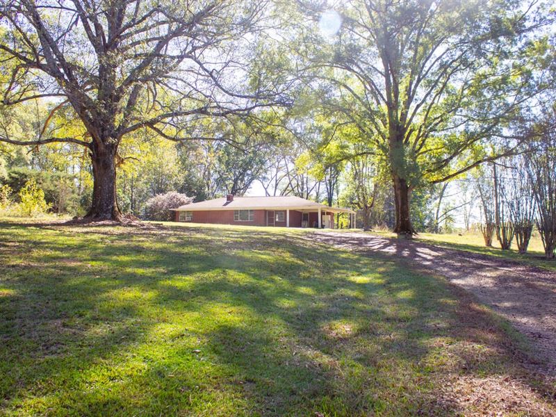 Clay Co, House & 12 Acres Cedar : Cedar Bluff : Clay County : Mississippi