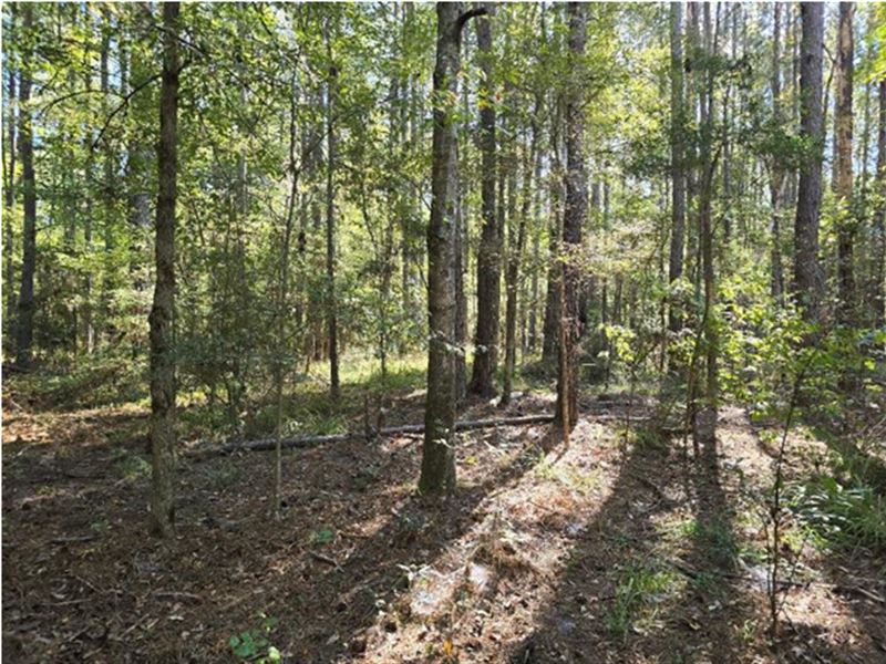 15 Acres in Copiah County in Hazleh : Hazlehurst : Copiah County : Mississippi