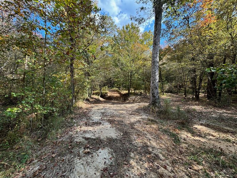 175 Acres Hunting and Timberland Fo : Roxie : Franklin County : Mississippi