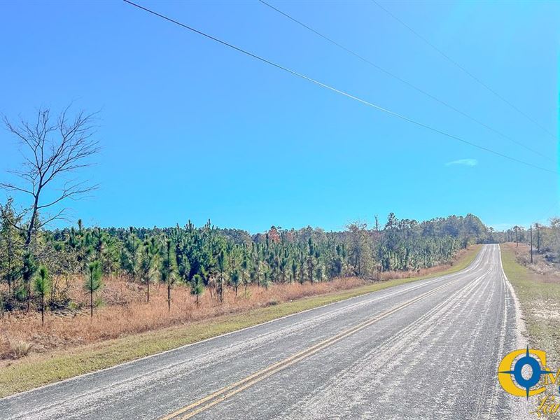 Mt. Pisgah Tract : Jefferson : Kershaw County : South Carolina