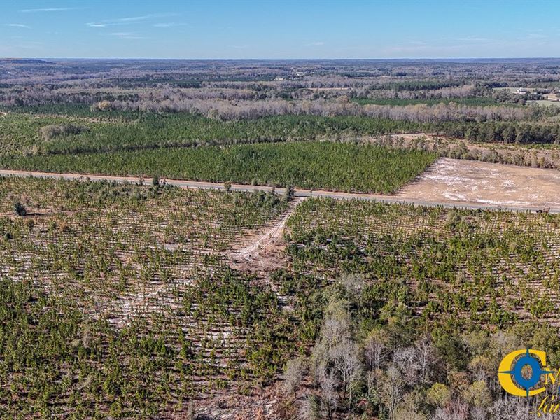 Mt. Pisgah Tract : Jefferson : Kershaw County : South Carolina