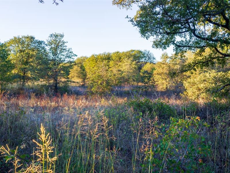 Trinity River Ranch : Jacksboro : Jack County : Texas