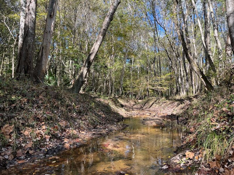 Deer Hunting Retreat : Toomsboro : Wilkinson County : Georgia