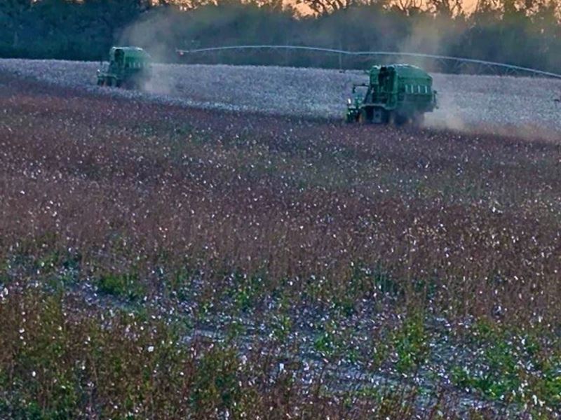 Barrington Farms : Mayo : Lafayette County : Florida