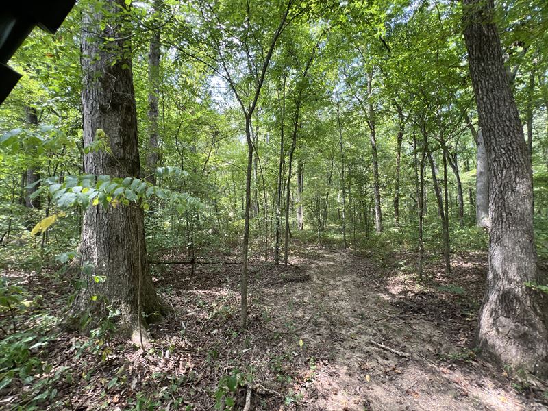 Natchez Trace Farm : Waterloo : Lauderdale County : Alabama