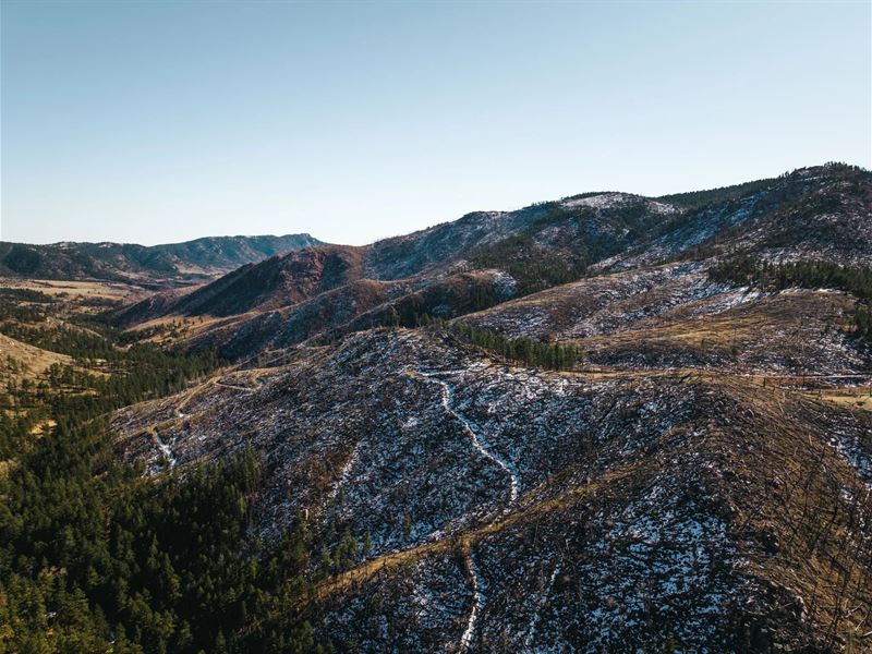 Laurence Creek Hideaway : Loveland : Larimer County : Colorado