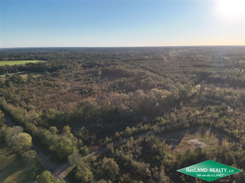 222.9 Ac Timberland / Recreational : Carthage : Panola County : Texas