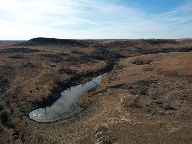 Lacounte Farm Main Unit : Bainville : Roosevelt County : Montana