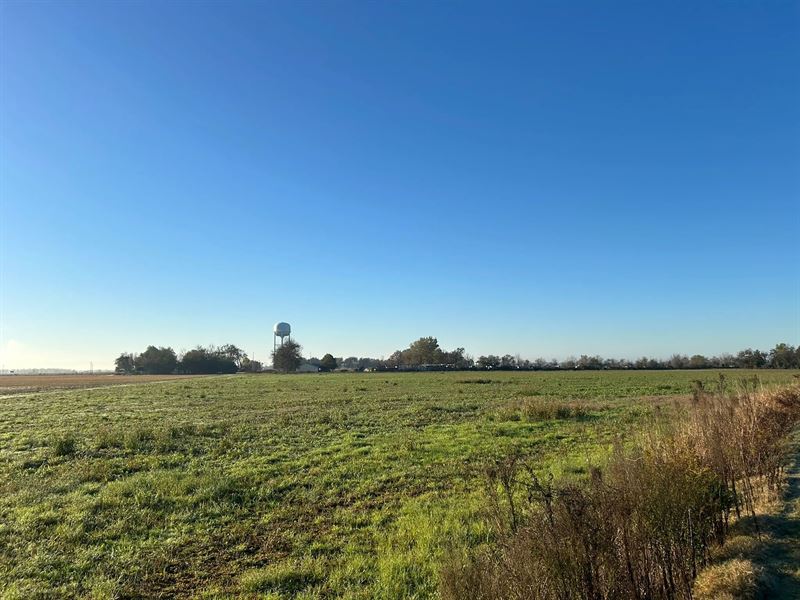 33 Acres in Coahoma County, MS : Clarksdale : Coahoma County : Mississippi