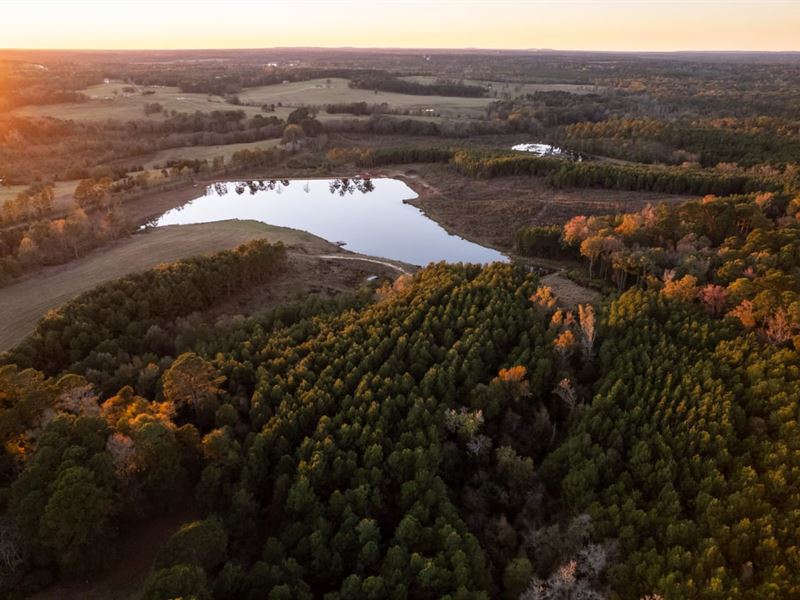 Willow Springs Farm : Hallsville : Harrison County : Texas