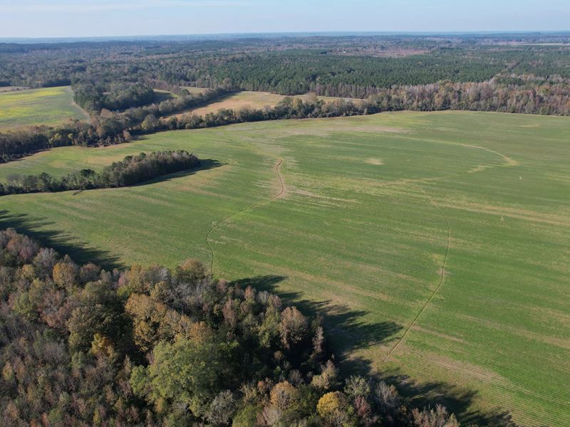 202.43 Acres in Attala County, MS : Sallis : Attala County : Mississippi