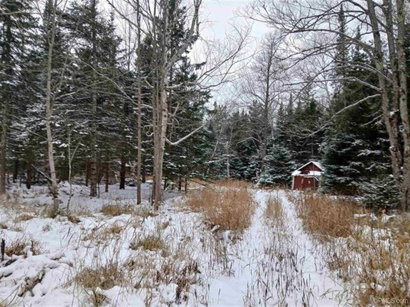 Michigan Wooded 50+/- Acres : Skanee : Baraga County : Michigan