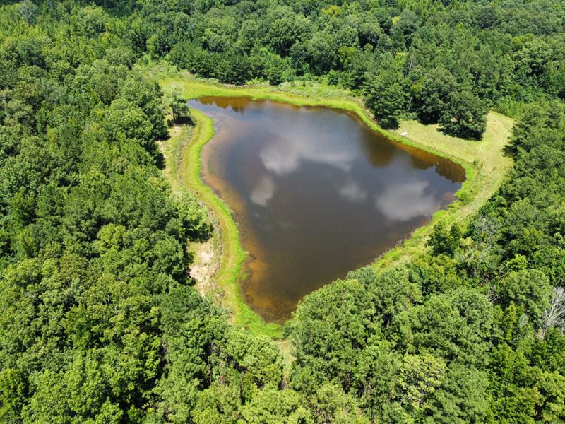 Rembert Timber Hunting Tracts Camps : Linden : Marengo County : Alabama