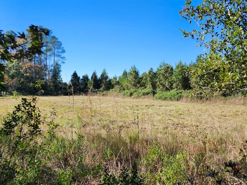 26 Acres in Camden County, GA : Kingsland : Camden County : Georgia