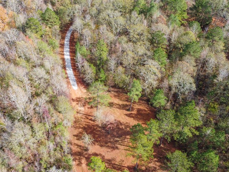 Glenvale Farms, 31.92 Acres Chamb : Cusseta : Chambers County : Alabama