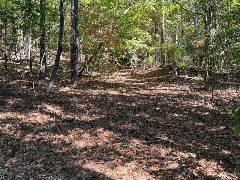 15 Wooded Acres with Homesite : Centreville : Bibb County : Alabama