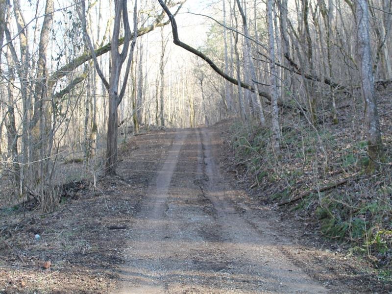 20 Hunting/Recreational Acres Locat : Gainesboro : Jackson County : Tennessee