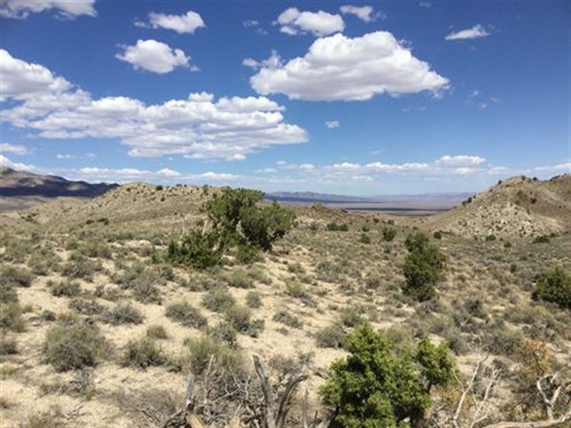 10 Acres of Natural Beauty : Gamble District : Elko County : Nevada