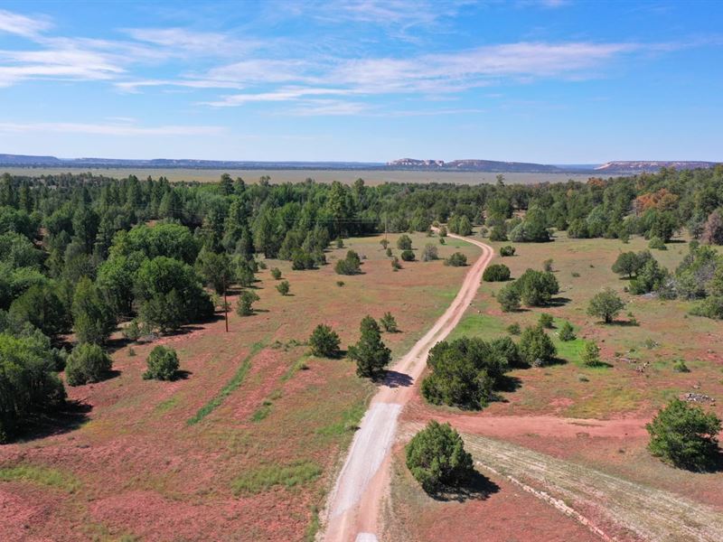 Oso Creek Ranch : Ramah : Cibola County : New Mexico