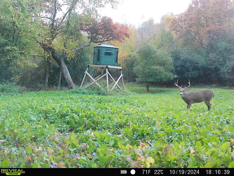 106 Acres Buffalo County : Independence : Buffalo County : Wisconsin