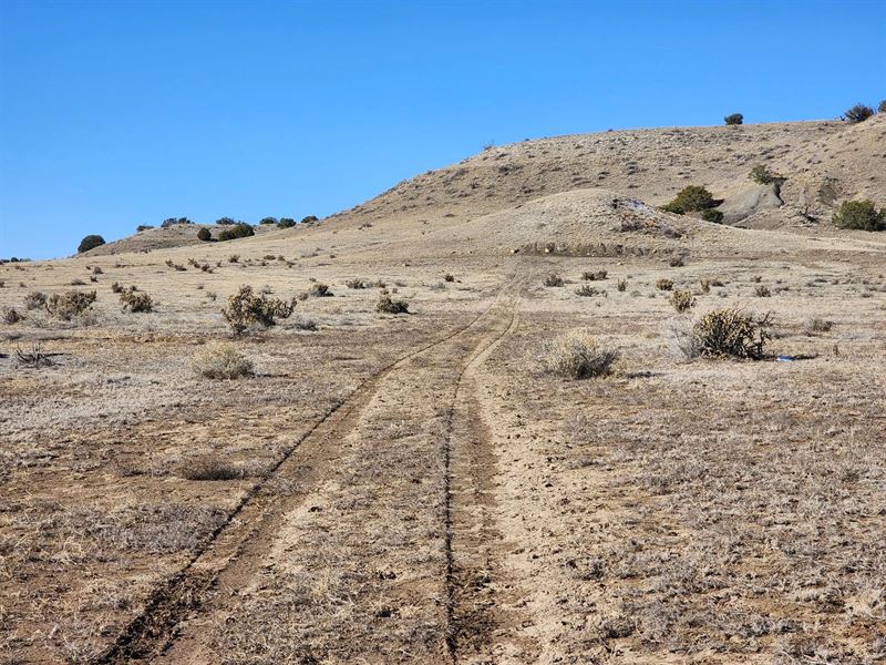 40 Acres Las Animas Ranch, Model : Model : Las Animas County : Colorado