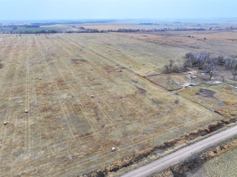 80 Acres, Merrick County Grass : Archer : Merrick County : Nebraska