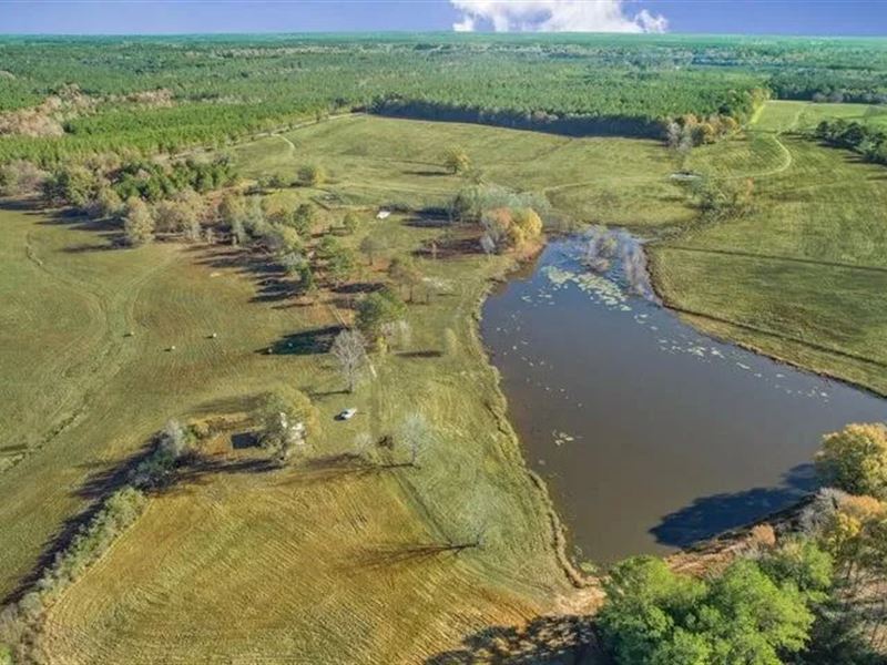 Perry County Mississippi Land : Beaumont : Perry County : Mississippi