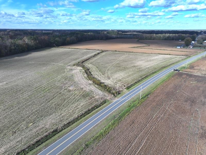 Rural Farm & Possible Home Site : Kinston : Lenoir County : North Carolina