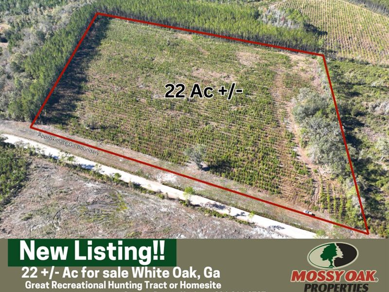 21.63 Acres Recreational Land : White Oak : Camden County : Georgia