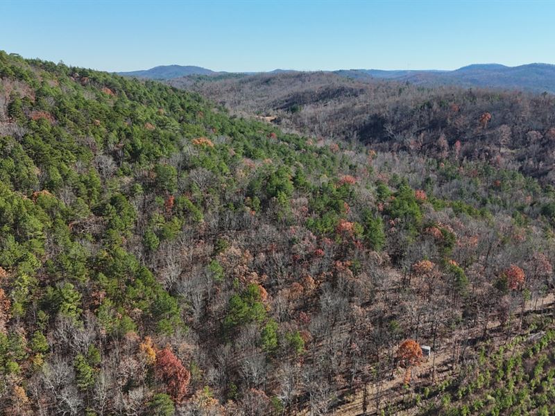 Indian Mountain 40 Ac : Piedmont : Cherokee County : Alabama