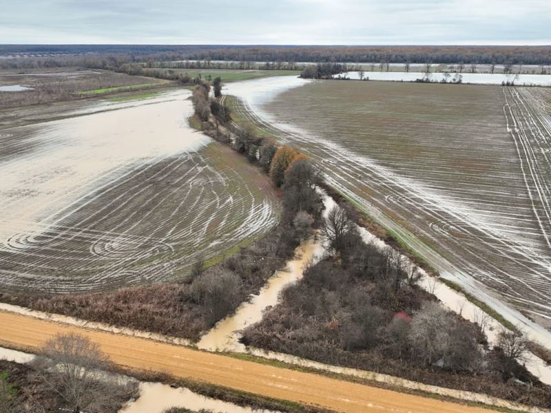 Quitman County, Denton Road Farm : Lambert : Quitman County : Mississippi